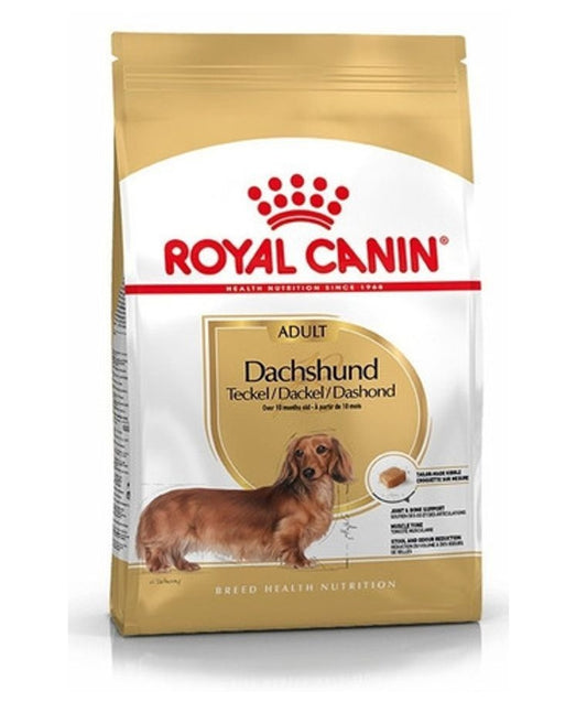 Royal Canin Dachshund